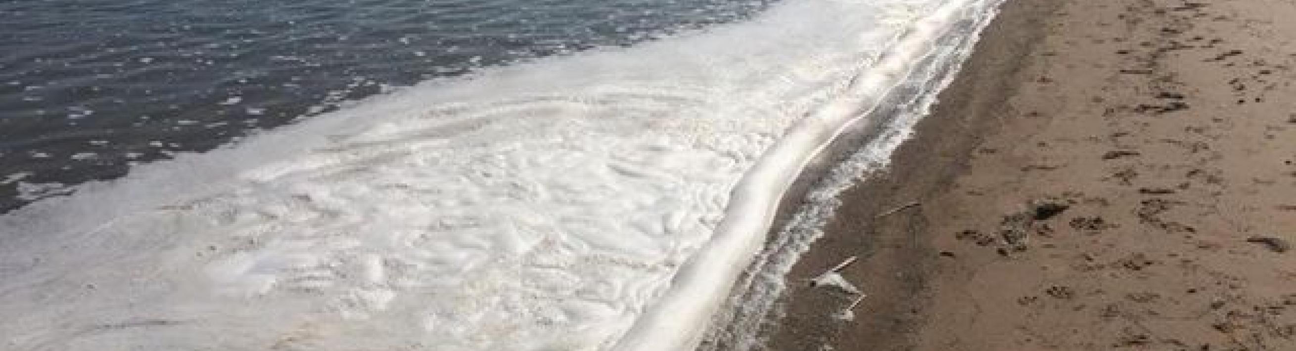 PFAS foam washes up on Lake Huron