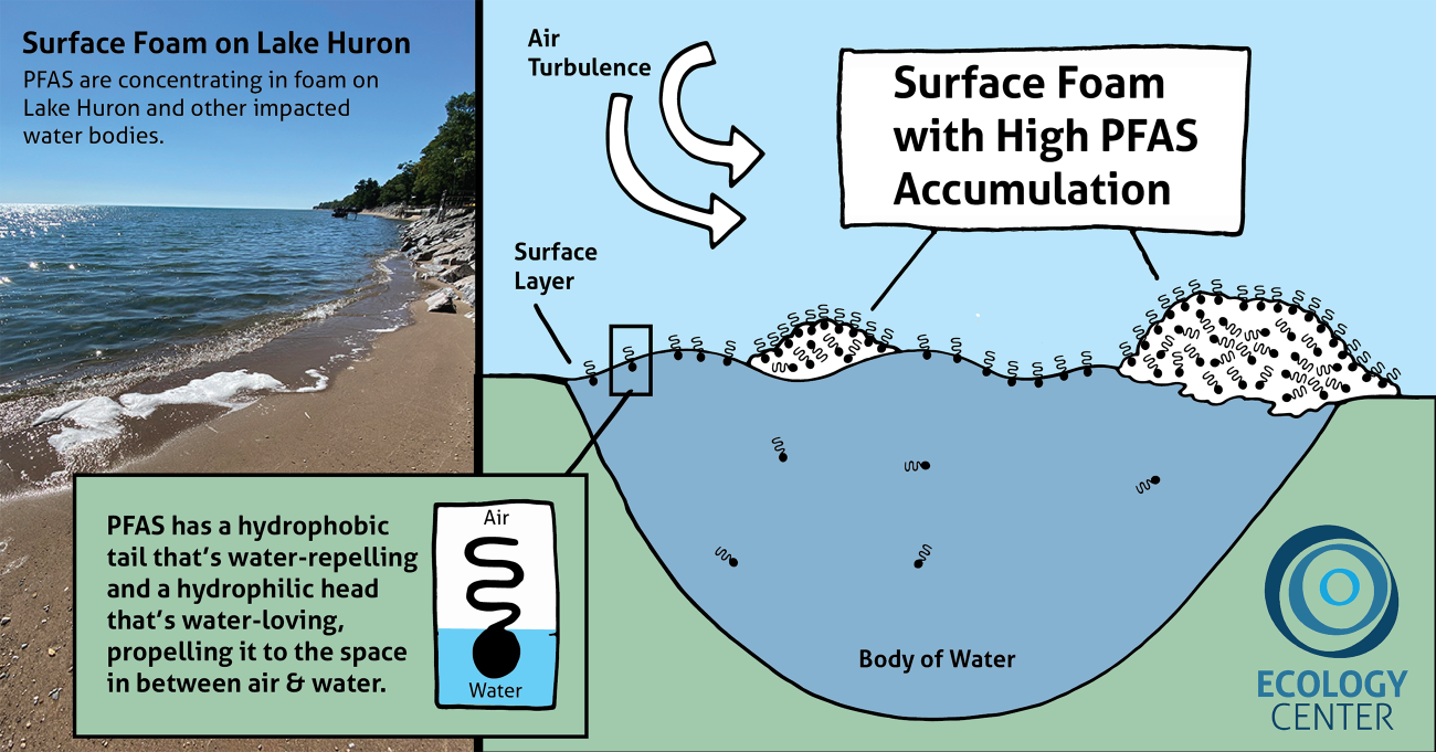 PFAS in Lake Huron Foam: Community Monitoring and Testing | Ecology Center